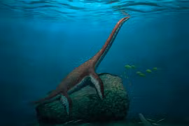 Phát hiện 'quái vật biển' hoàn toàn mới gây bối rối giới khoa học