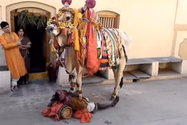 Tục lệ kết hôn với động vật độc lạ ở Ấn Độ 