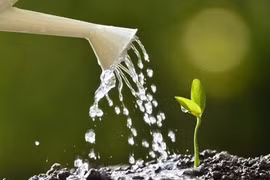 Lần đầu tiên vòng tuần hoàn nước trên Trái đất bị mất cân bằng