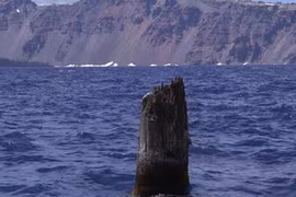 Kỳ lạ khúc gỗ nổi thẳng đứng trên hồ, cả trăm năm không mục