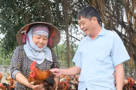 Đại gia Thái Bình mỗi người làm một cách mà đều thành công