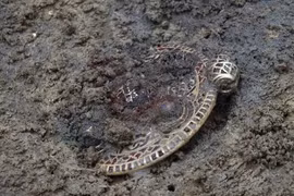 Mở mộ cổ, choáng váng phát hiện kho báu khủng bên trong