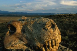 Những cuộc đại tuyệt chủng đáng sợ nhất, định hình lại sự sống Trái đất