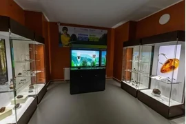 Nhặt được cục đá lạ bên suối, giật mình khi biết là báu vật quốc gia