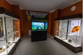 Nhặt được cục đá lạ bên suối, giật mình khi biết là báu vật quốc gia