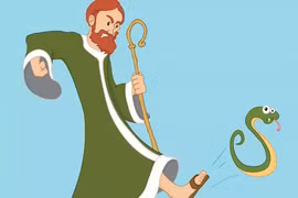 Đất nước lạ lùng, loài rắn tuyệt nhiên vắng bóng