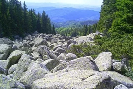 Kỳ lạ dòng sông đá không giọt nước vẫn nghe tiếng róc rách