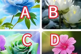 Loài hoa bạn yêu thích tiết lộ điều bất ngờ vào 2024