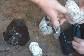 Đào được thỏi bạc, lộ bí mật chấn động về kho báu đế vương 