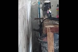 Tái mặt phát hiện 'quái thú' ẩn nấp trong nhà bếp