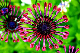 Ai sinh ngày Âm lịch này Trời định may mắn, giàu sang 