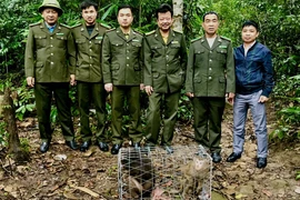 Hai cá thể khỉ quý hiếm được thả về rừng Tây Yên Tử