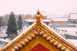 Tại sao trên nóc Tử Cấm Thành không bao giờ có phân chim?