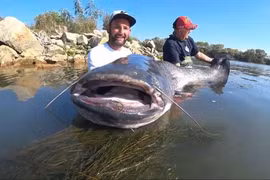  Đi câu cá, hết hồn đụng trúng 'thuỷ quái' từng ăn thịt người