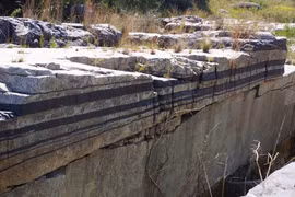 Đàn sinh vật bị phong ấn 2 tỷ năm trong đá: Sao vẫn "sống nhăn"? 