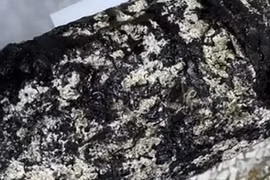 Nhặt được 'cục đá lạ', ngư dân đổi đời sau một đêm 