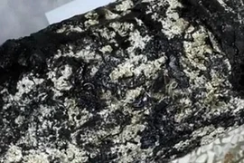 Nhặt được 'cục đá lạ', ngư dân đổi đời sau một đêm 