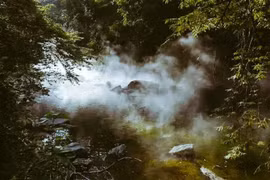 Rùng mình dòng sông tử thần ở Amazon, rơi vào 'mất mạng như chơi'