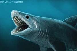 Lộ diện thủy quái mang hàm răng kim loại, có thể nghiền nát rùa biển