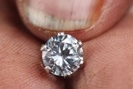 Độc đáo loài cây chỉ mọc trên đất có kim cương