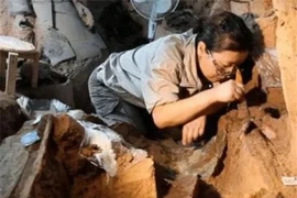 Thấy trứng gà trong mộ cổ, sao chuyên gia ám ảnh cả đời?