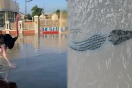 'Quái vật' ăn thịt sổng chuồng giữa lũ lụt ở Nigeria