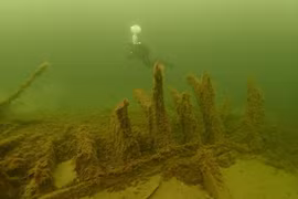 Lại gần “tàu ma” 500 tuổi, hoảng hốt thấy quái vật hiện hình 