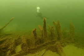 Lại gần “tàu ma” 500 tuổi, hoảng hốt thấy quái vật hiện hình 