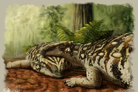 Lộ diện quái thú 4 sừng chưa từng biết ở Trung Quốc