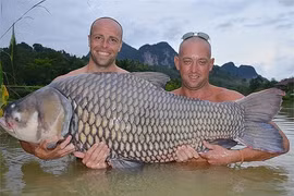 Cá chép Xiêm khổng lồ lọt lưới ngư dân, loài cực hiếm trong sách Đỏ