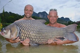 Cá chép Xiêm khổng lồ lọt lưới ngư dân, loài cực hiếm trong sách Đỏ