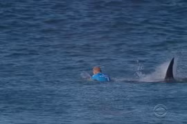 Kinh hoàng du khách bị 'quái vật biển' tấn công khi đang lướt sóng