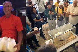 Đi đánh cá đụng trúng tảng đá lạ, ai ngờ báu vật nghìn tỷ