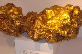 Đào được tảng vàng 72kg, 2 thợ mỏ suýt ngất vì...