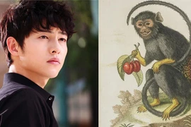 3 con giáp nam hàng thế phiệt, đáng để phụ nữ giao phó cả đời