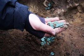 Bất ngờ tìm thấy 'kho báu' khổng lồ khi đang cày ruộng