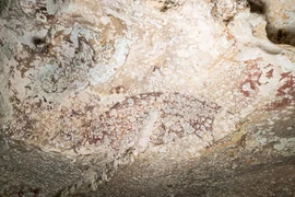 Phát hiện bức tranh hang động 'lâu đời nhất thế giới'