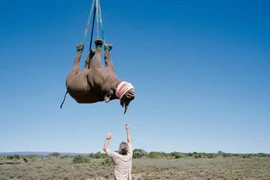 Phì cười những nghiên cứu 'kỳ quặc' từng đạt giải Nobel