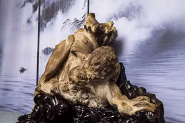 Vớt được khúc gỗ quý, lão nông tiếc hùi hụi vì trót làm điều này