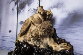 Vớt được khúc gỗ quý, lão nông tiếc hùi hụi vì trót làm điều này