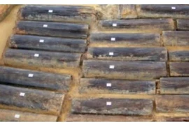 Bật nắp quan tài, chuyên gia ngã quỵ thấy thứ phát sáng bên trong