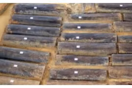 Bật nắp quan tài, chuyên gia ngã quỵ thấy thứ phát sáng bên trong