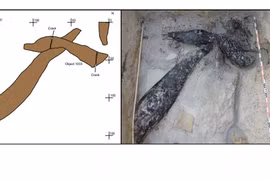 Hiện vật gỗ lâu đời nhất thế giới hé lộ bí ẩn về tổ tiên loài người