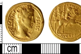 Dò kim loại trên cánh đồng, bất ngờ đụng trúng 'kho báu' khủng