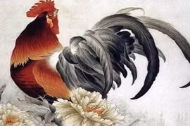 4 con giáp ngẩng đầu gặp quý nhân, xòe tay hứng tài lộc hè 2024