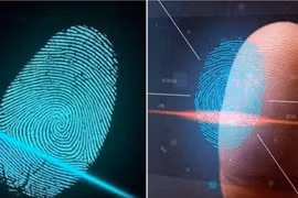 Bí mật về dấu vân tay của con người, lời nguyền hay điềm báo? 