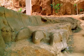 Cuốc trúng 'con rồng' dài 400m, chuyên gia hốt hoảng hô lớn 'phong tỏa ngay'