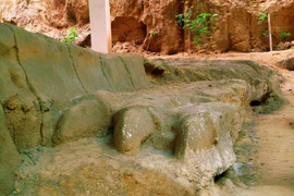 Cuốc trúng 'con rồng' dài 400m, chuyên gia hốt hoảng hô lớn 'phong tỏa ngay'