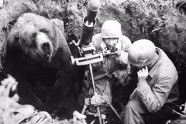 8 sự thật 'hài hước' nhất lịch sử, không phải ai cũng biết