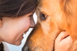 Bộ não của chó có thể 'đồng bộ' với con người?